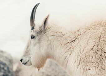 adam-davis-17wkWOLNwdo-unsplash