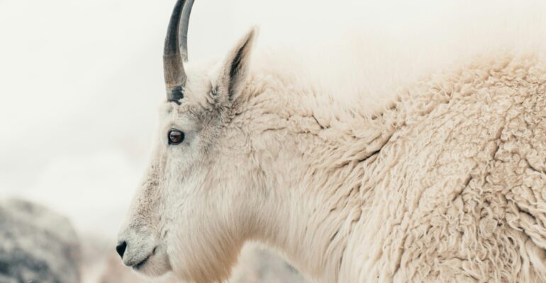 adam-davis-17wkWOLNwdo-unsplash