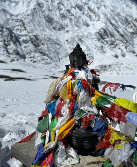 131112ee-d831-4100-be73-1ba5b60cb8fc