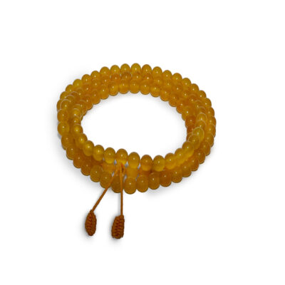 21102024-IMG_5643. Mala Citrino-Editar