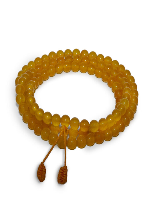 21102024-IMG_5643. Mala Citrino-Editar