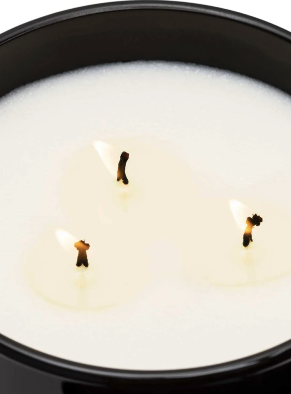 Screenshot 2026-02-15 at 12.31.34